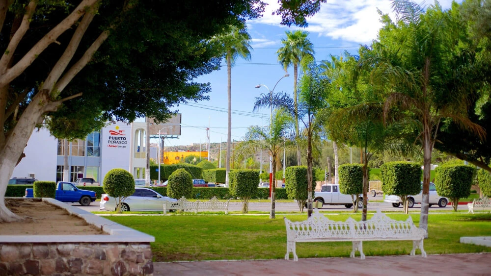 Una imagen representando la Línea Verde.
